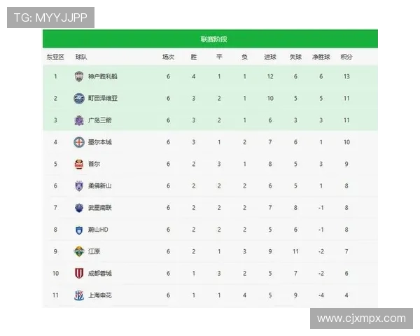 媒体人分析亚冠与联赛脱节现象强调职业联赛应优先服务国家队发展