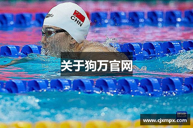 关于狗万官网